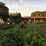 Landsted Olimagio Farm With Animals And 25m Pool, At Cycling Distance