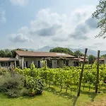 Olimagio Farm With Animals And 25m Pool, At Cycling Distance Landsted