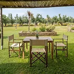 Olimagio Farm With Animals And 25m Pool, At Cycling Distance Landsted Pietrasanta