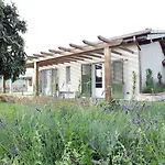 Olimagio Farm With Animals And 25m Pool, At Cycling Distance Landsted Pietrasanta