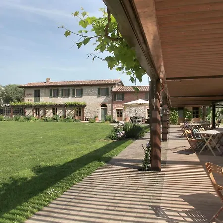 Olimagio Farm With Animals And 25m Pool, At Cycling Distance *
