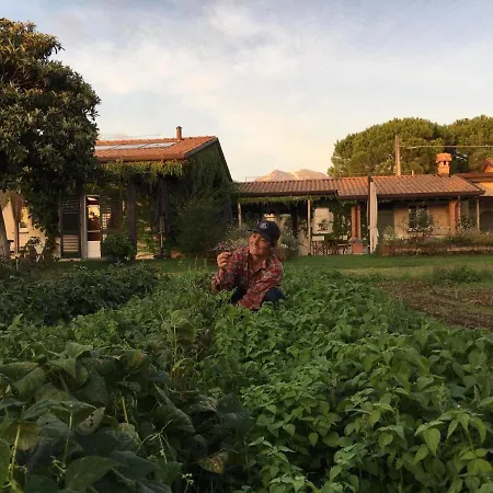 Country house Olimagio Farm With Animals And 25m Pool, At Cycling Distance