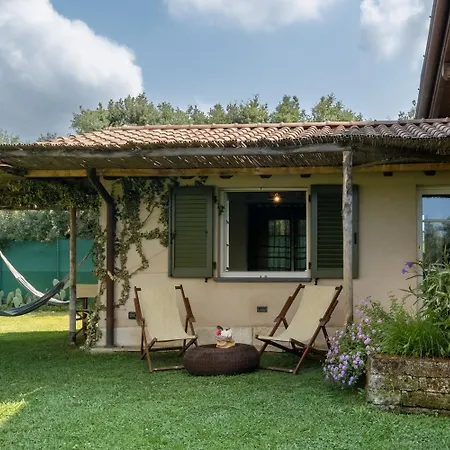 Hétvégi ház Olimagio Farm With Animals And 25m Pool, At Cycling Distance Pietrasanta