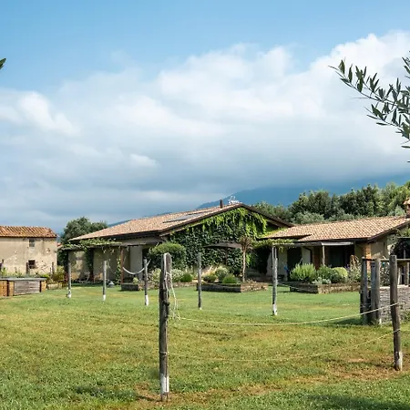 Hétvégi ház Olimagio Farm With Animals And 25m Pool, At Cycling Distance *