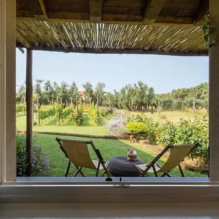 Olimagio Farm With Animals And 25m Pool, At Cycling Distance
