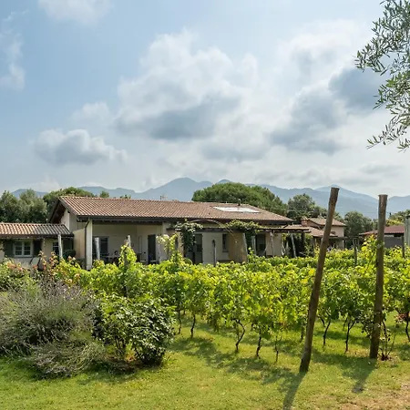 Olimagio Farm With Animals And 25m Pool, At Cycling Distance Hétvégi ház