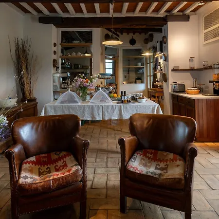 Olimagio Farm With Animals And 25m Pool, At Cycling Distance * Pietrasanta