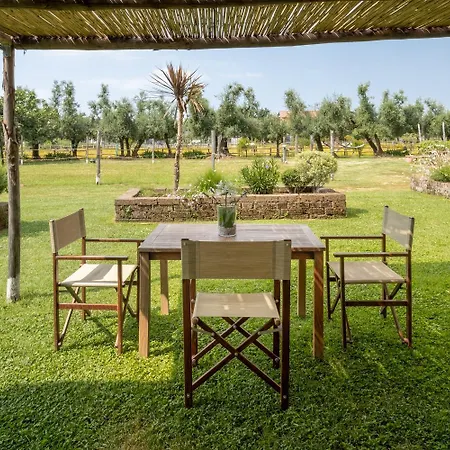 Olimagio Farm With Animals And 25m Pool, At Cycling Distance Hétvégi ház Pietrasanta