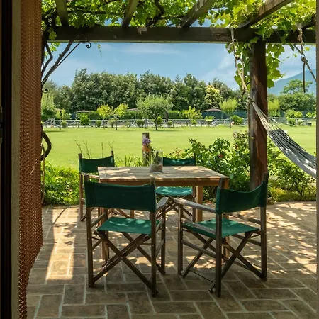 Olimagio Farm With Animals And 25m Pool, At Cycling Distance * Pietrasanta