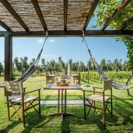 Olimagio Farm With Animals And 25m Pool, At Cycling Distance Country house *